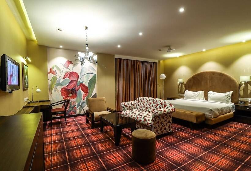 فندق Piccadily Raipur