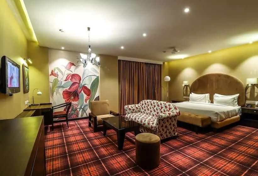 호텔 Piccadily Raipur