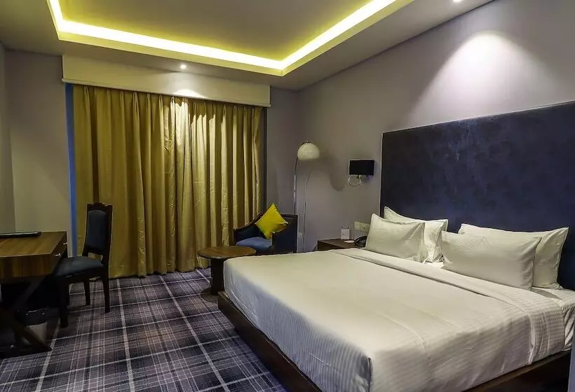 호텔 Piccadily Raipur