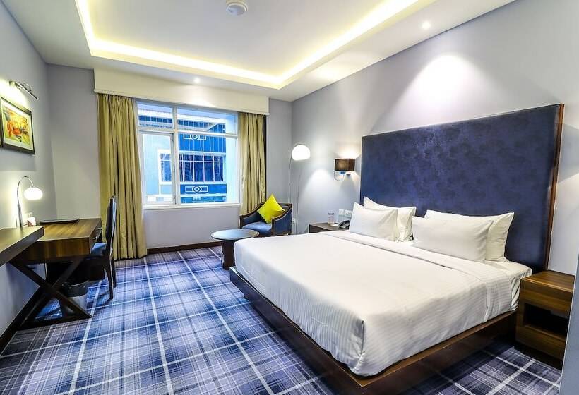 فندق Piccadily Raipur