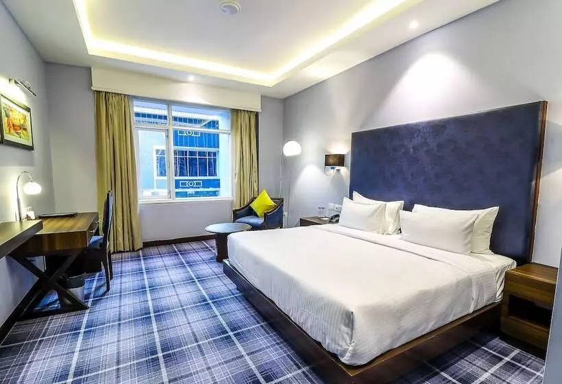 호텔 Piccadily Raipur