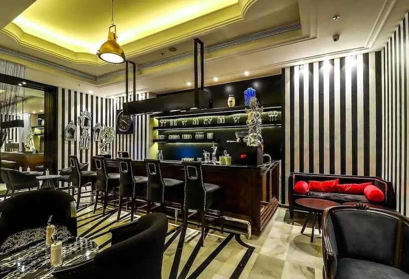 호텔 Piccadily Raipur