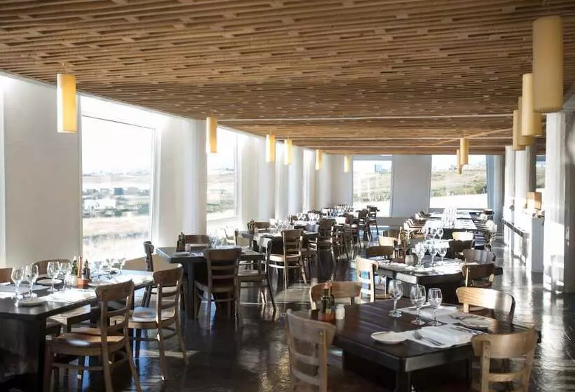 酒店 Remota Patagonia Lodge