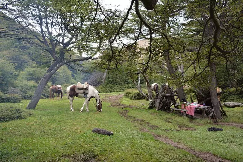 酒店 Remota Patagonia Lodge