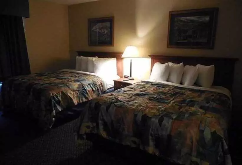 Отель Blue Mountain Inn And Suites