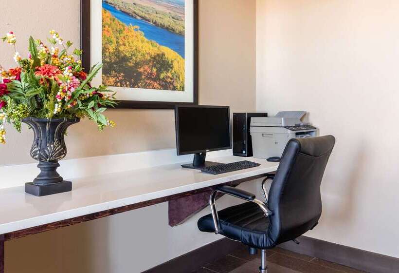 酒店 Comfort Inn & Suites