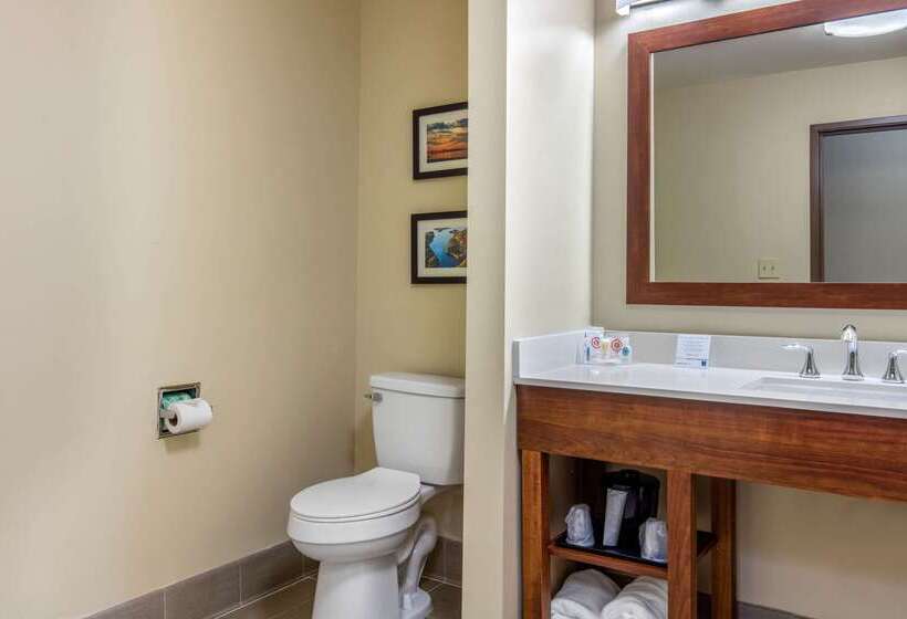 酒店 Comfort Inn & Suites