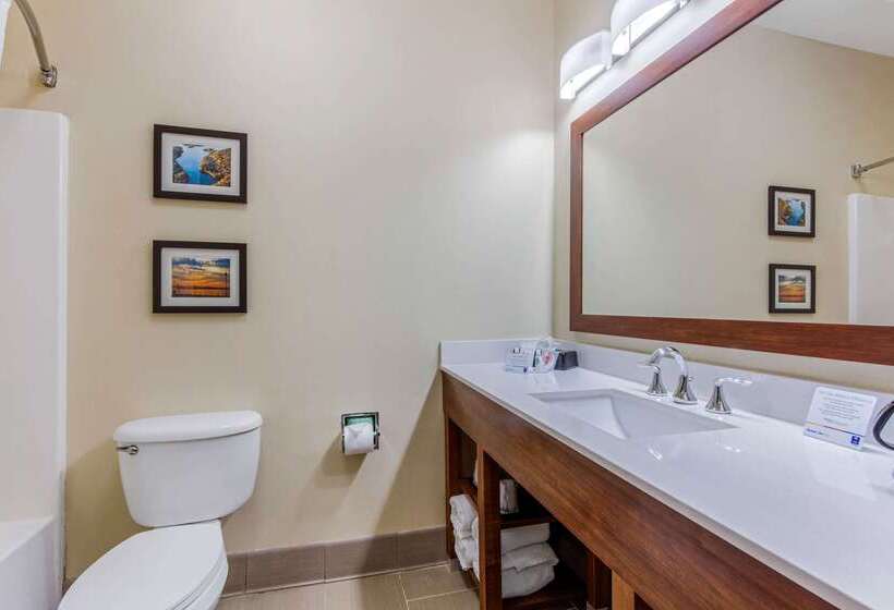 酒店 Comfort Inn & Suites