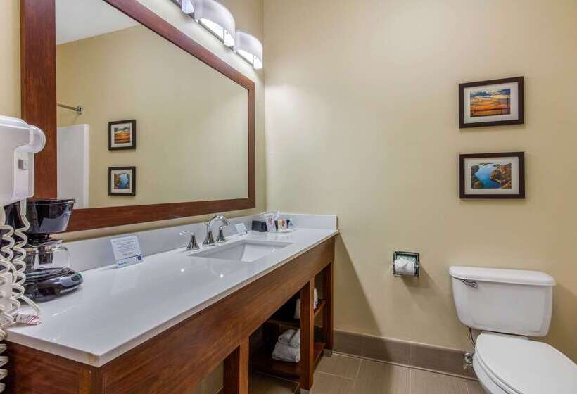 酒店 Comfort Inn & Suites