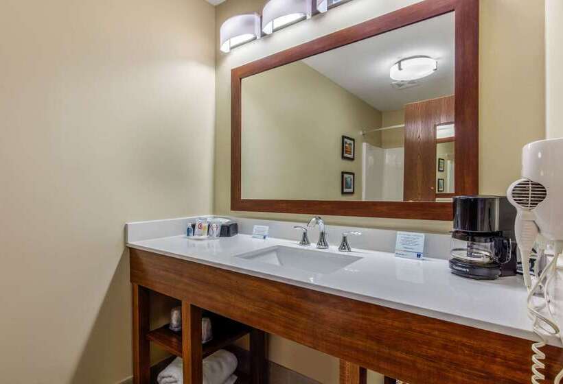 酒店 Comfort Inn & Suites