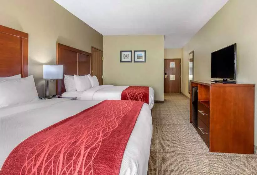 Отель Comfort Inn & Suites