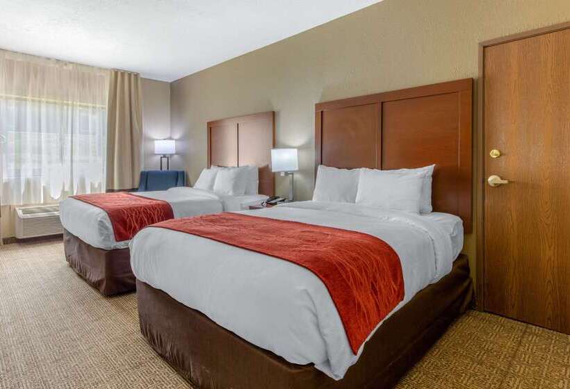 酒店 Comfort Inn & Suites
