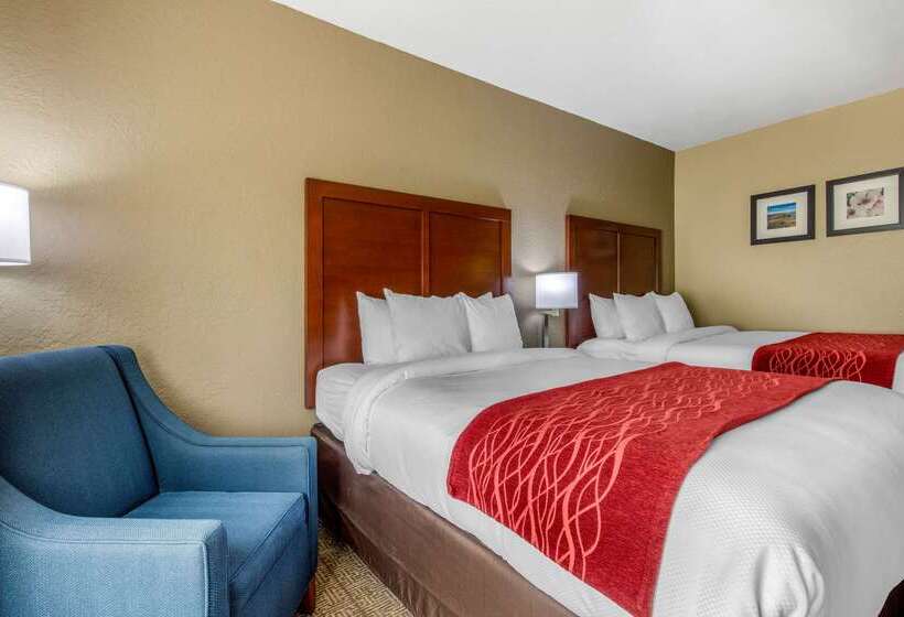 酒店 Comfort Inn & Suites