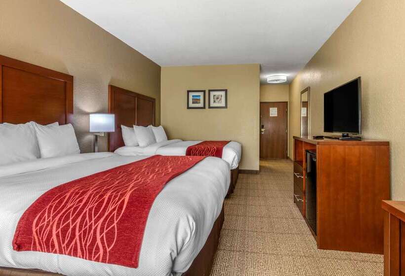 酒店 Comfort Inn & Suites