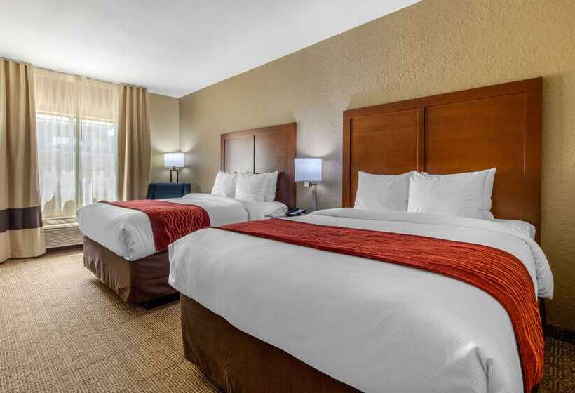酒店 Comfort Inn & Suites