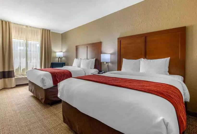 Отель Comfort Inn & Suites