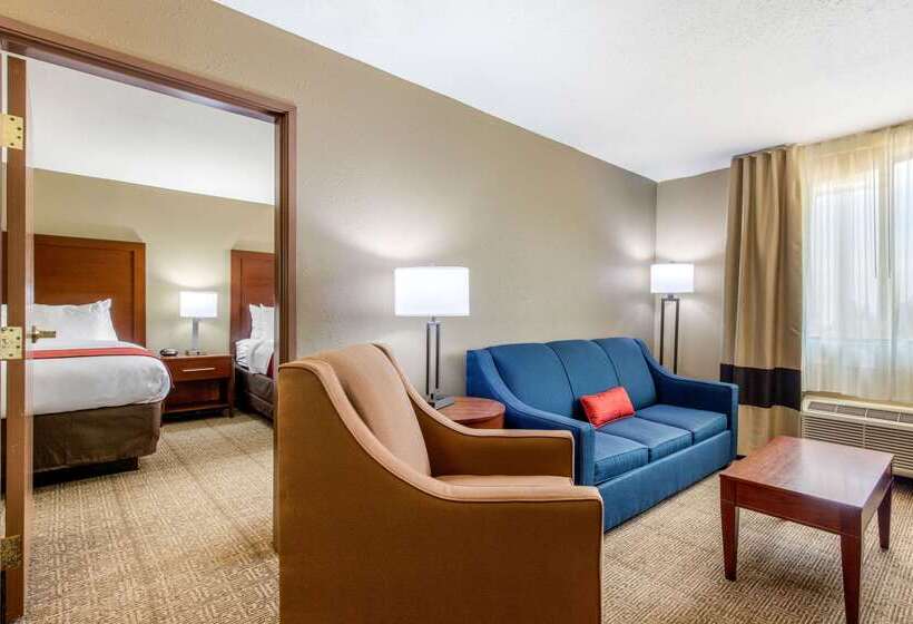 酒店 Comfort Inn & Suites