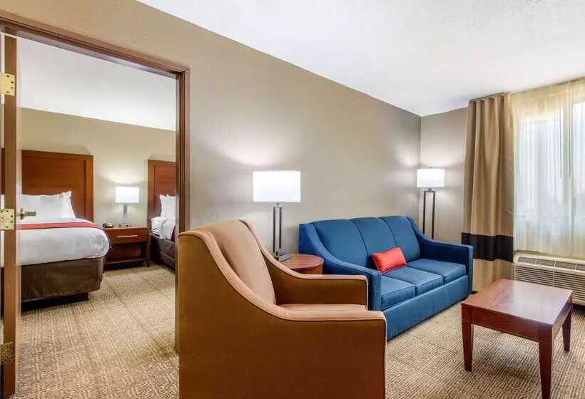 Отель Comfort Inn & Suites