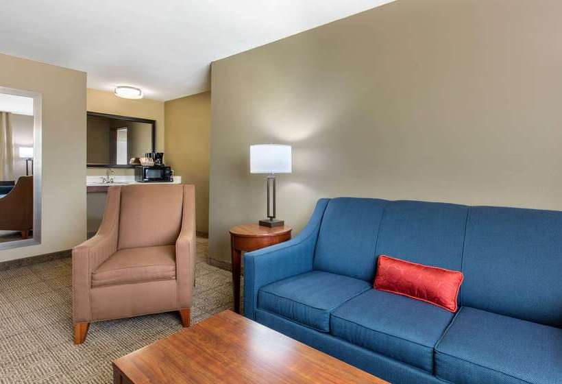 酒店 Comfort Inn & Suites