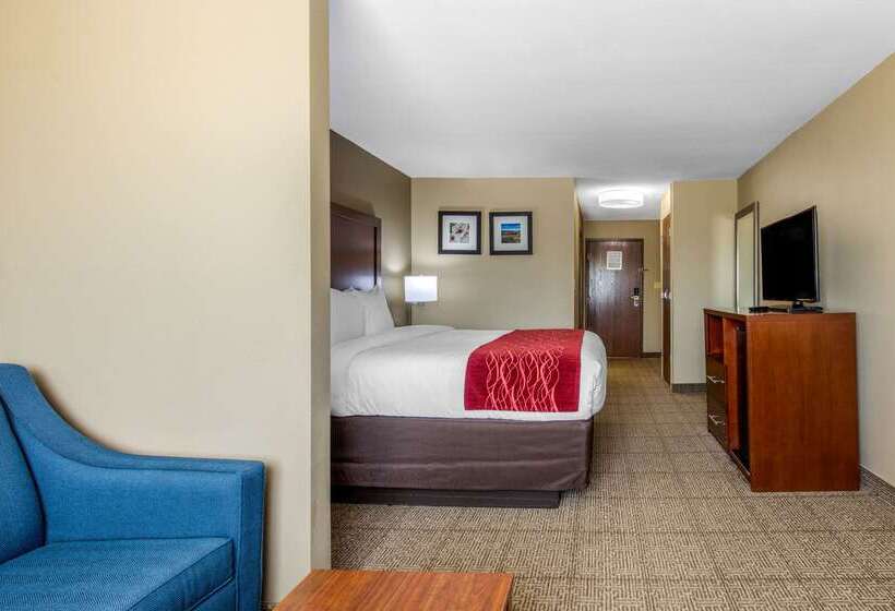 酒店 Comfort Inn & Suites