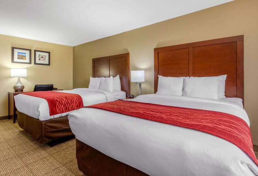 酒店 Comfort Inn & Suites