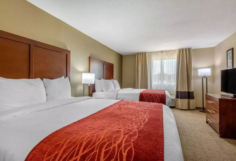 Отель Comfort Inn & Suites