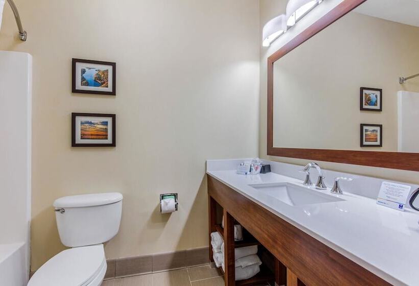 酒店 Comfort Inn & Suites