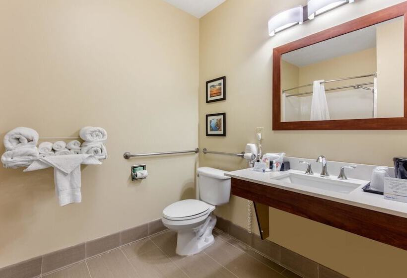 酒店 Comfort Inn & Suites