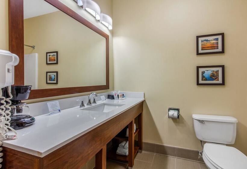 酒店 Comfort Inn & Suites