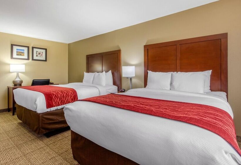 酒店 Comfort Inn & Suites