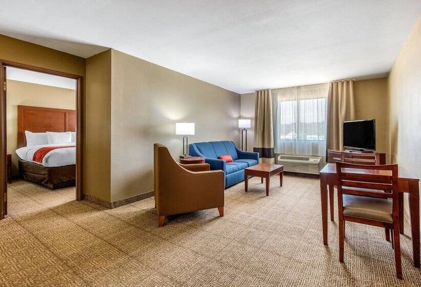 酒店 Comfort Inn & Suites