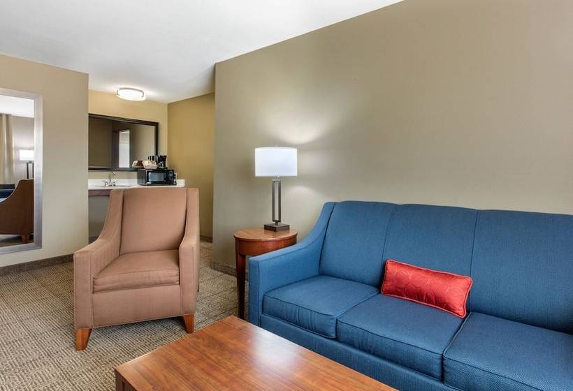 酒店 Comfort Inn & Suites