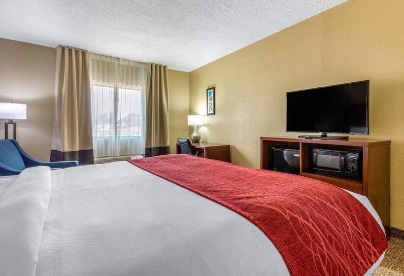 酒店 Comfort Inn & Suites