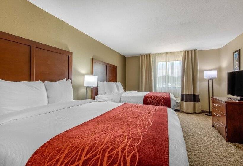 酒店 Comfort Inn & Suites