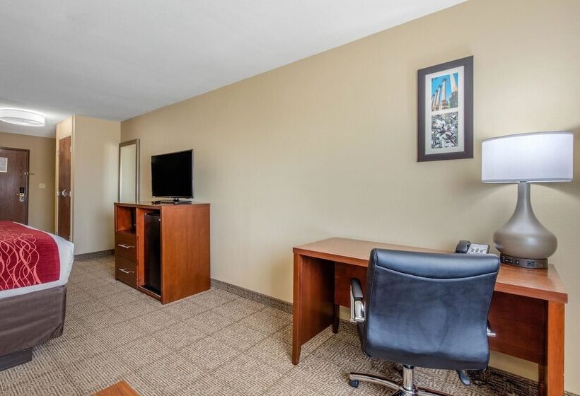 酒店 Comfort Inn & Suites