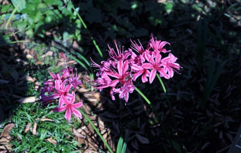 Apa Hotel Yokohama Kannai