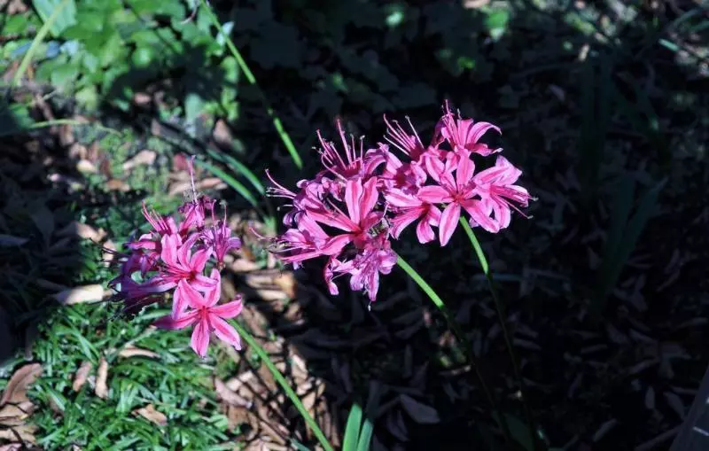 Apa Hotel Yokohama Kannai