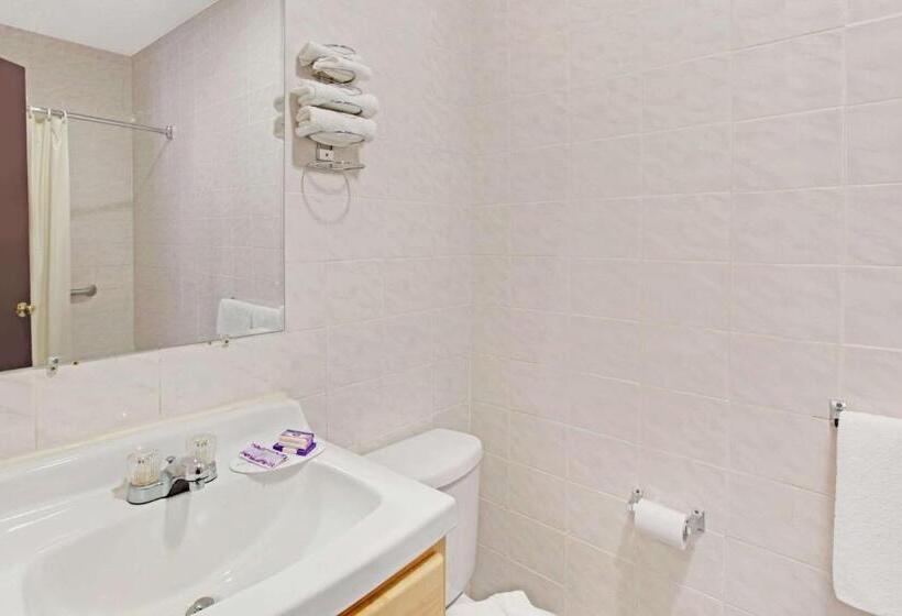 酒店 Knights Inn Of Pine Brook