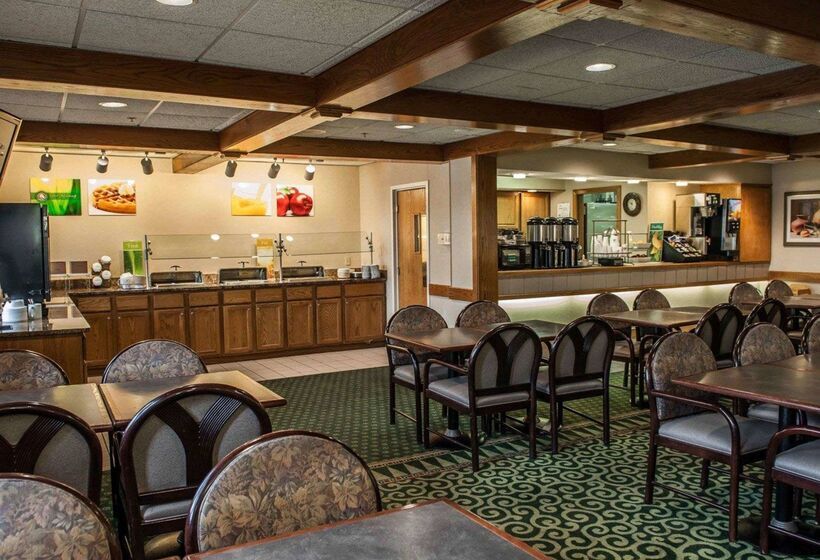 酒店 Quality Inn & Suites