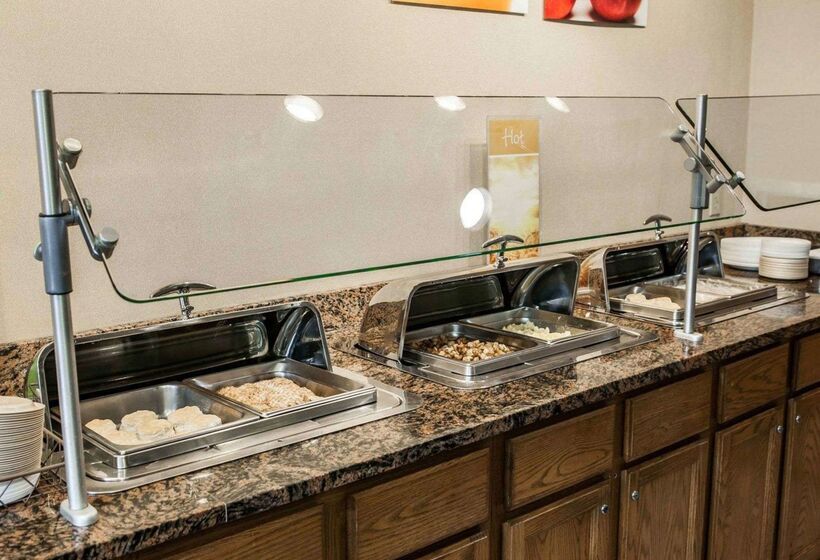 酒店 Quality Inn & Suites