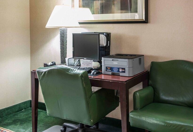 酒店 Quality Inn & Suites