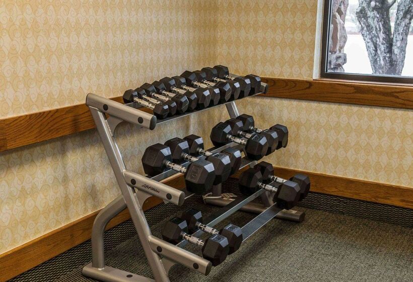 酒店 Quality Inn & Suites