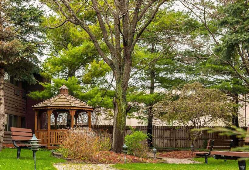 酒店 Quality Inn & Suites