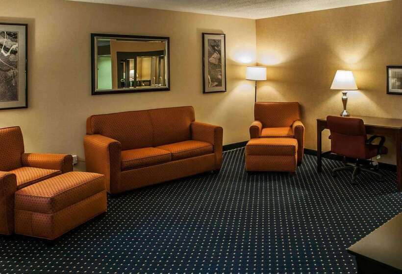 酒店 Quality Inn & Suites