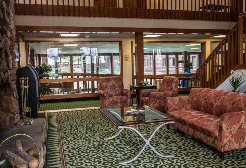 酒店 Quality Inn & Suites