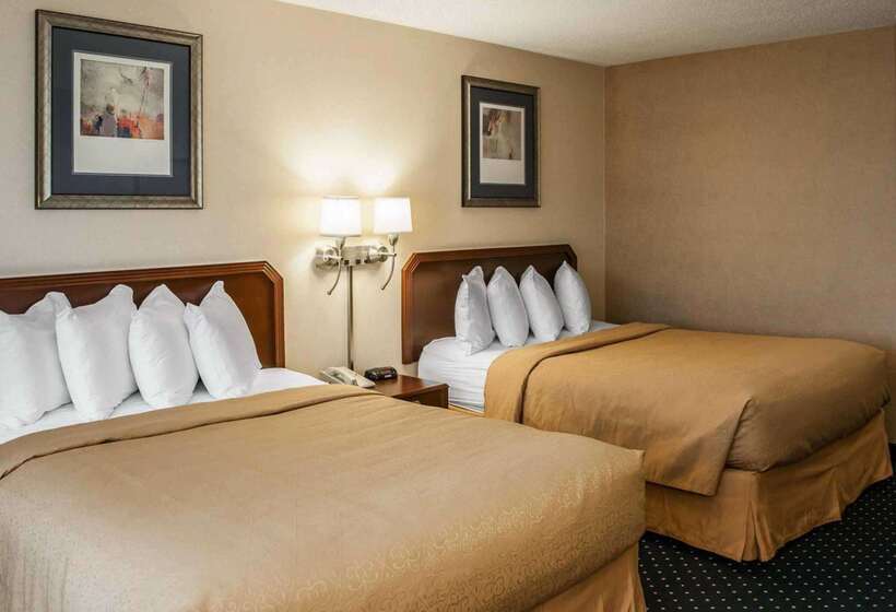 酒店 Quality Inn & Suites