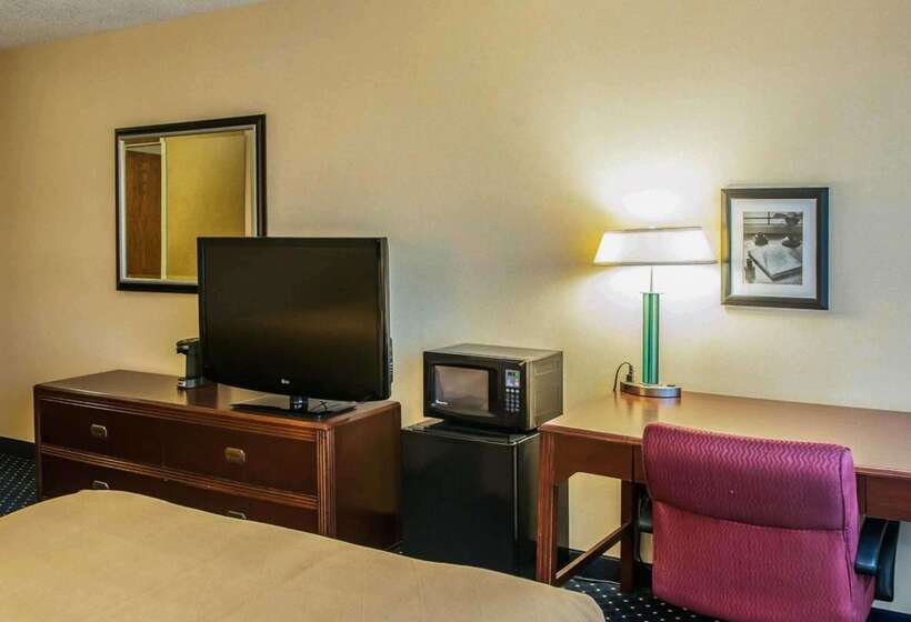 酒店 Quality Inn & Suites