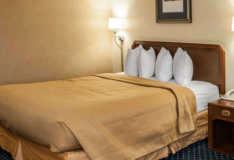 酒店 Quality Inn & Suites