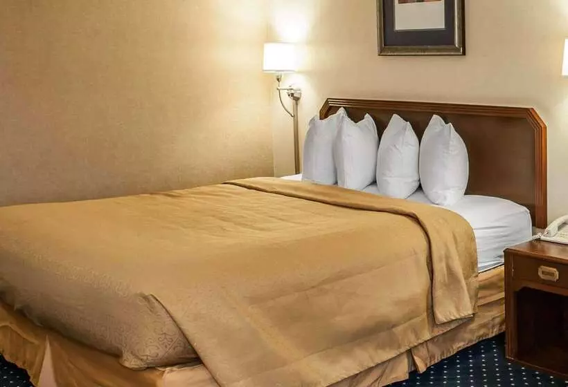 호텔 Quality Inn & Suites