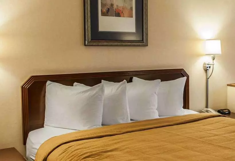 호텔 Quality Inn & Suites